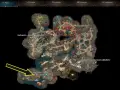 Mapa BG3: Podmrok, z zaznaczoną Magiczna wieża. Wskazuje drogę do tajemniczej wieży.