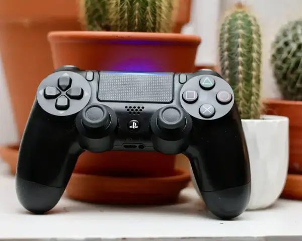 Czarny pad do PlayStation, gotowy do gry. W tle kaktusy w doniczkach.