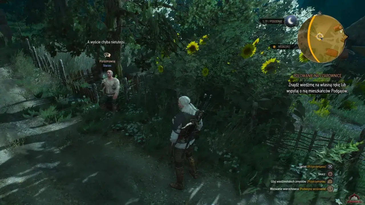 Geralt rozpoczyna polowanie na czarownicę w Wiedzmin 3. Rozmawia ze starcem, który siedzi przy płocie.
